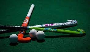 Indian hockey Write an email to PHF for Bailout.
