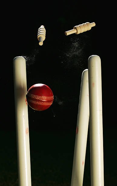 Cricket World