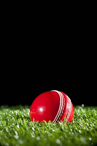 Hafeez