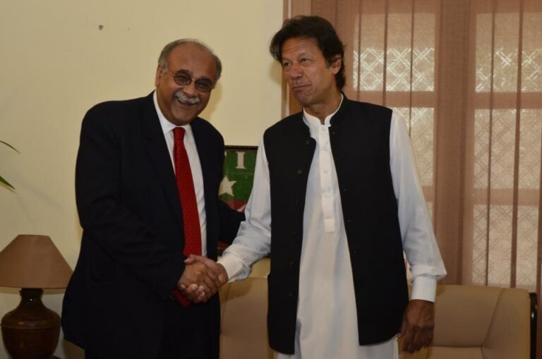 عمران خان اور نجم سیٹھی ایک پیج پر آ گئے