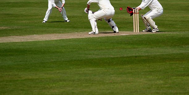 cricket Pitch